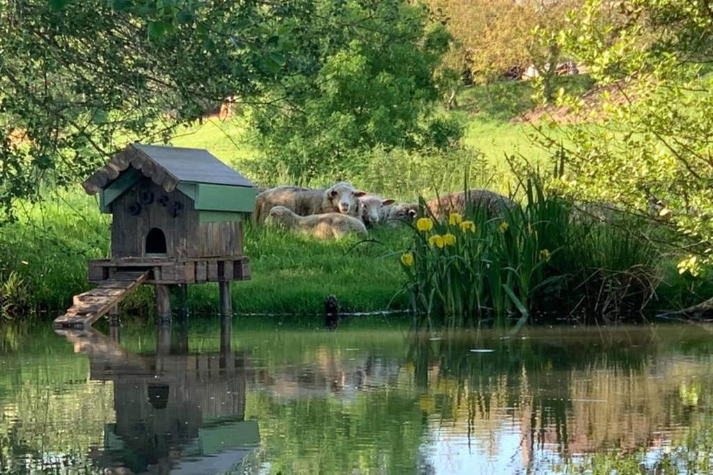 Gite Moulin De Lausseignan Barbaste ภายนอก รูปภาพ